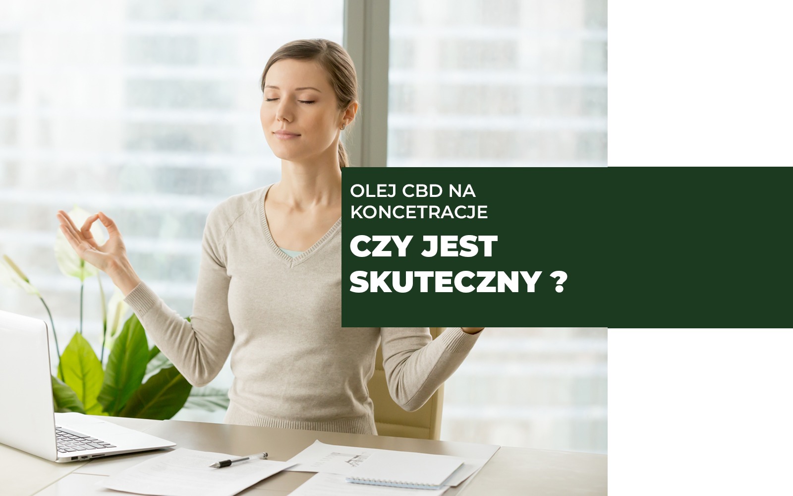 Olej CBD na koncentrację czy jest skuteczny?