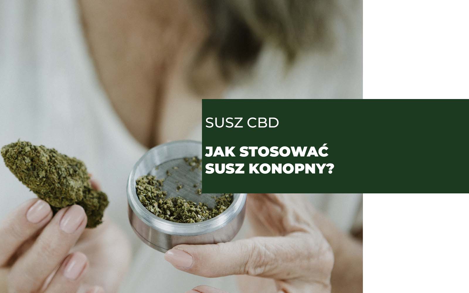 Susz CBD jak stosować susz konopny?