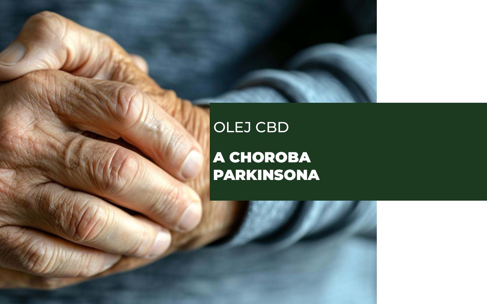 Olej CBD a choroba parkinsona