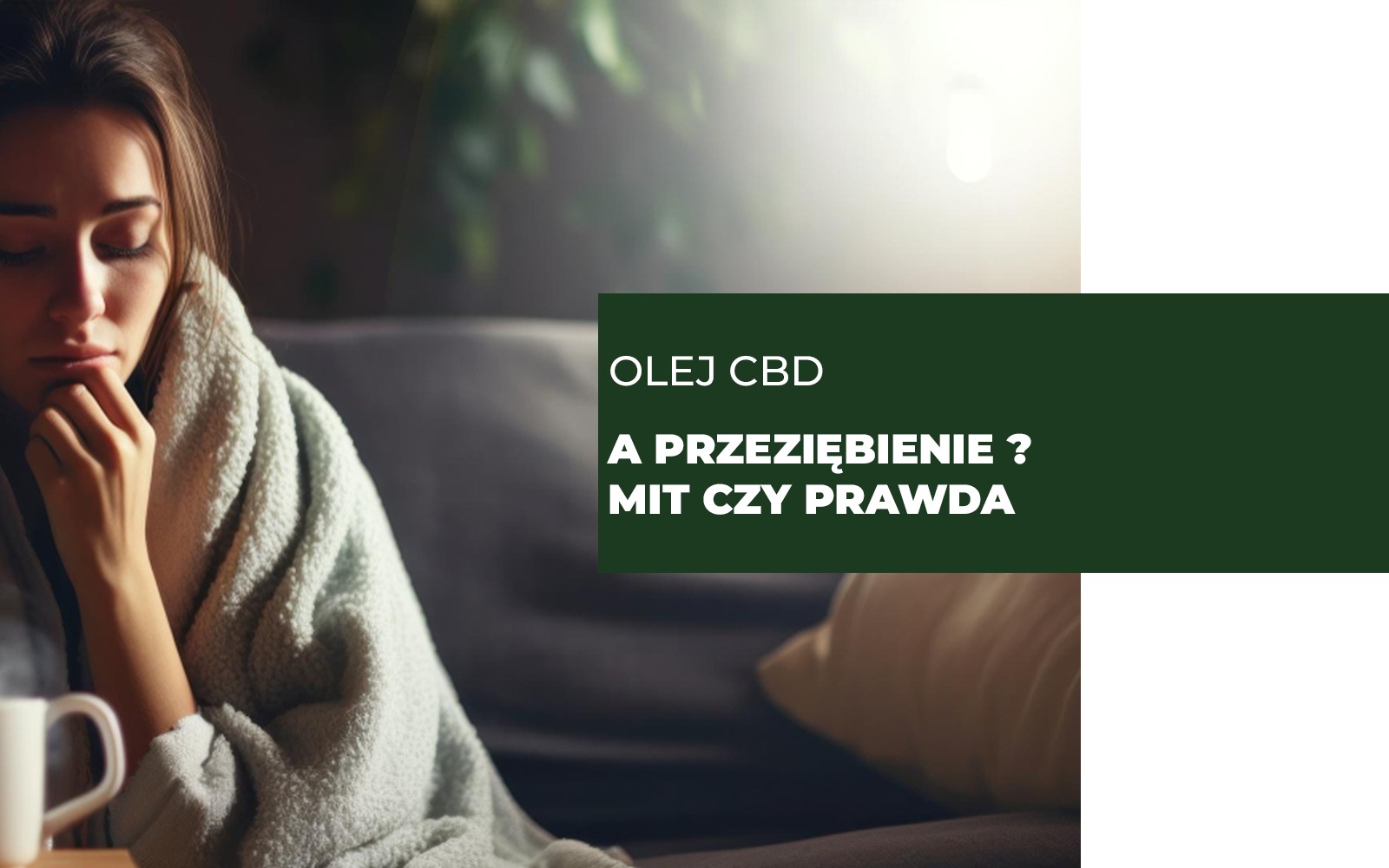 Olej CBD a przeziębienie? Mit czy prawda?
