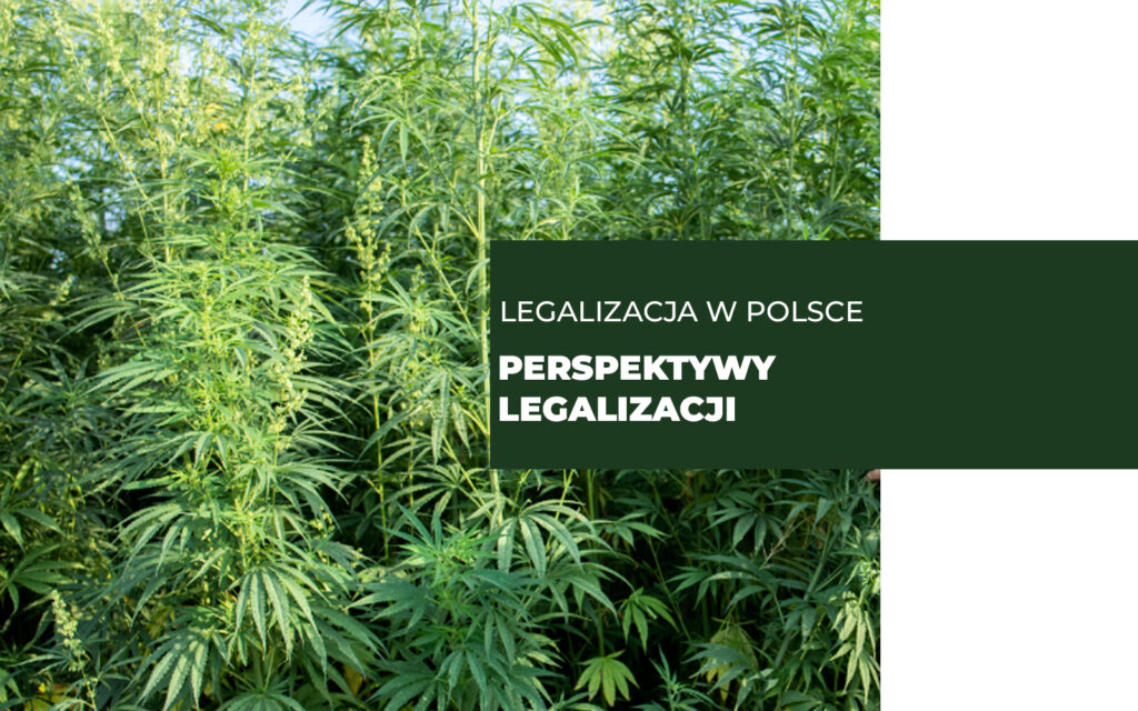 Legalizacja w Polsce kiedy ?